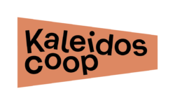 Logo Kaleidoscoop